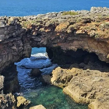 Sunshine Home Cascais Alcabideche
