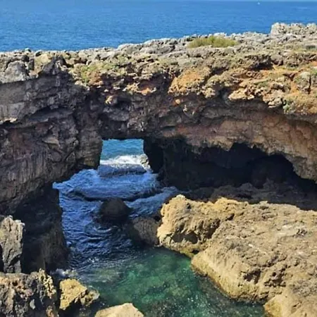 Sunshine Home Cascais *
